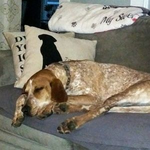 Meet your Posher, Cathleen